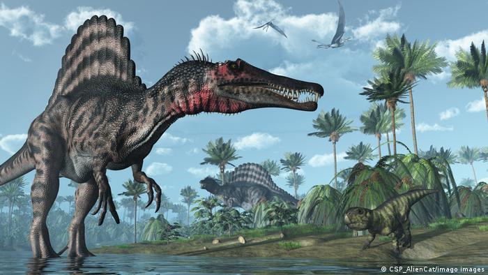 On land, spinosaurus may have walked on two legs
