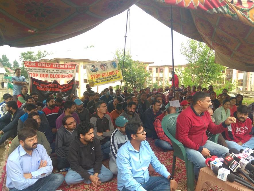 Kashmiri Pandit Employees Protest to Reiterate Demand for Relocation