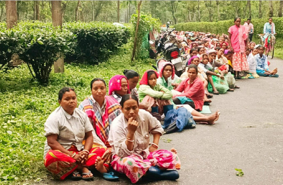 WB: Tea Workers Upset Over Paltry Wage Hike, Warn of Strike Action