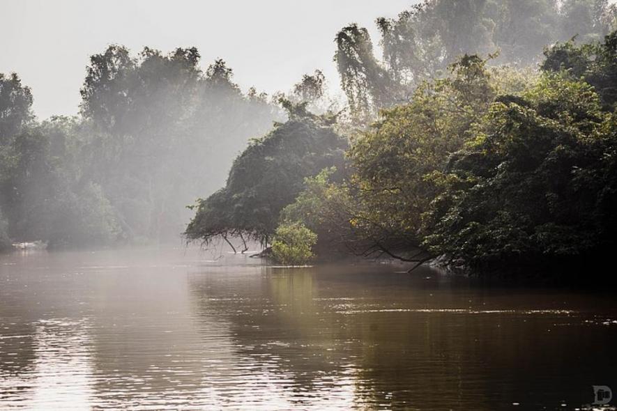 Odisha: Discarded Boat Turns Into Library for Children in Bhitarkanika National Forest