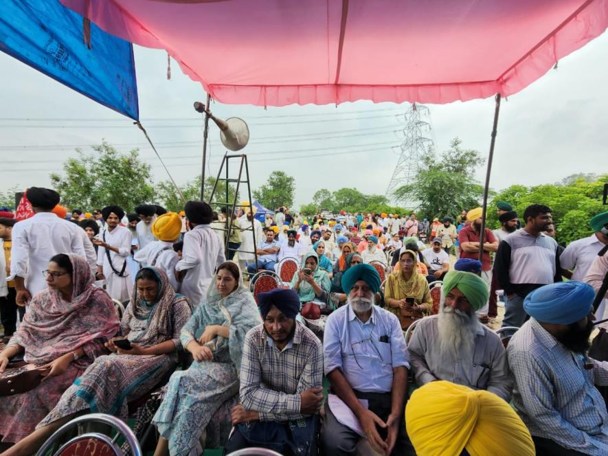 Activists Celebrate After Punjab Govt Scraps Textile Park at Mattewara Forest and Satluj River