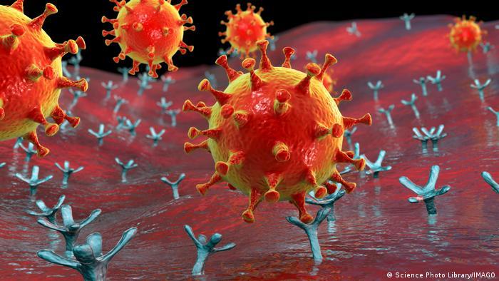 Coronavirus enters human cells via its spike proteins