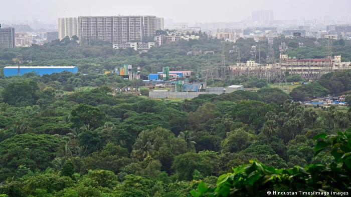 Aarey is home to rich flora and fauna, including mammals such as leopards, reptiles, birds, insects and wildflowers