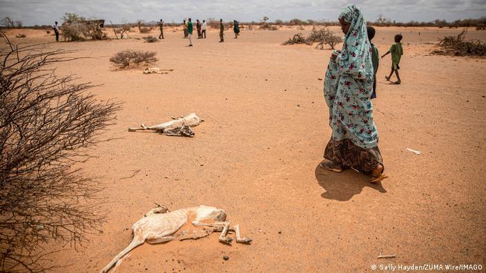 Even with grain deliveries from Ukraine continuing, Somalia faces grave food shortages amid the worst drought in 40 years