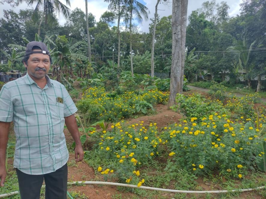 Justin Jose in his farm with 2000 grown up plants of marigold