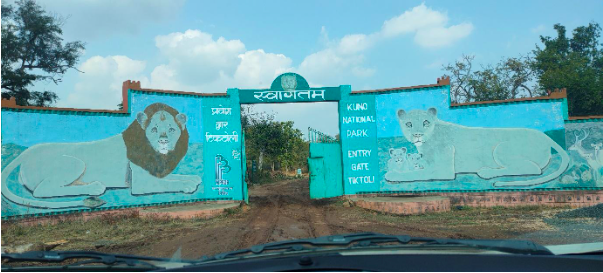 The Palpur royal family vacated its fort, gave up 260 acres and helped the state government by convincing the inhabitants of 24 villages to relocate after the area was designated a wildlife sanctuary in 1981.