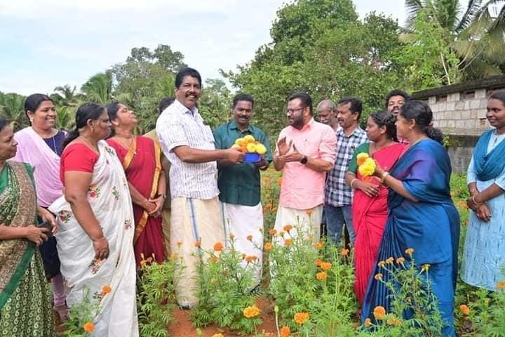 MLA IB Satheesh inaugurating the cultivation of flowers in Kattakada Panchayat in the presence of president and councillors (courtesy: IB Satheesh)