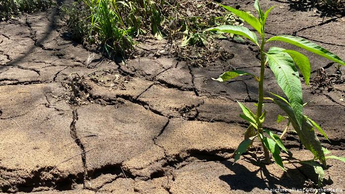 An inch of nutrient-rich topsoil can take hundreds of years to develop