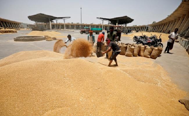 Govt’s Bizarre Plans of Dealing With Looming Food Grain Crisis