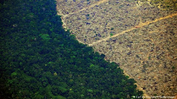 Brazil registered a record high deforestation rate for the first nine months of 2022