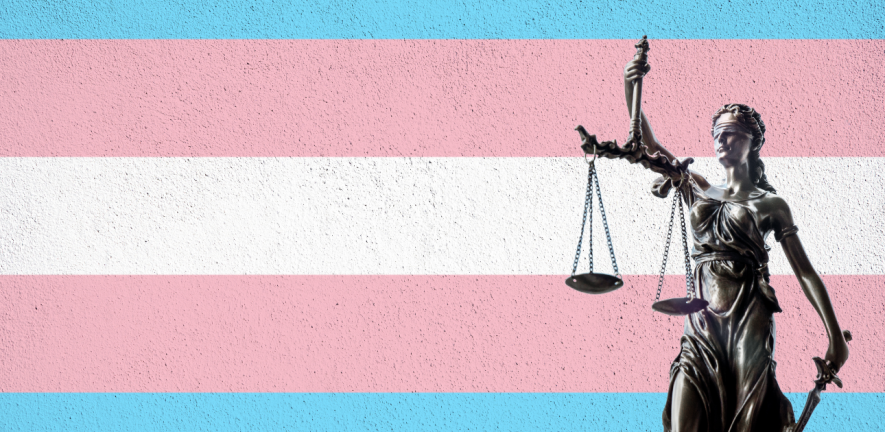 Protection Against Cruelty Under IPC Should be Extended to Transgender Community