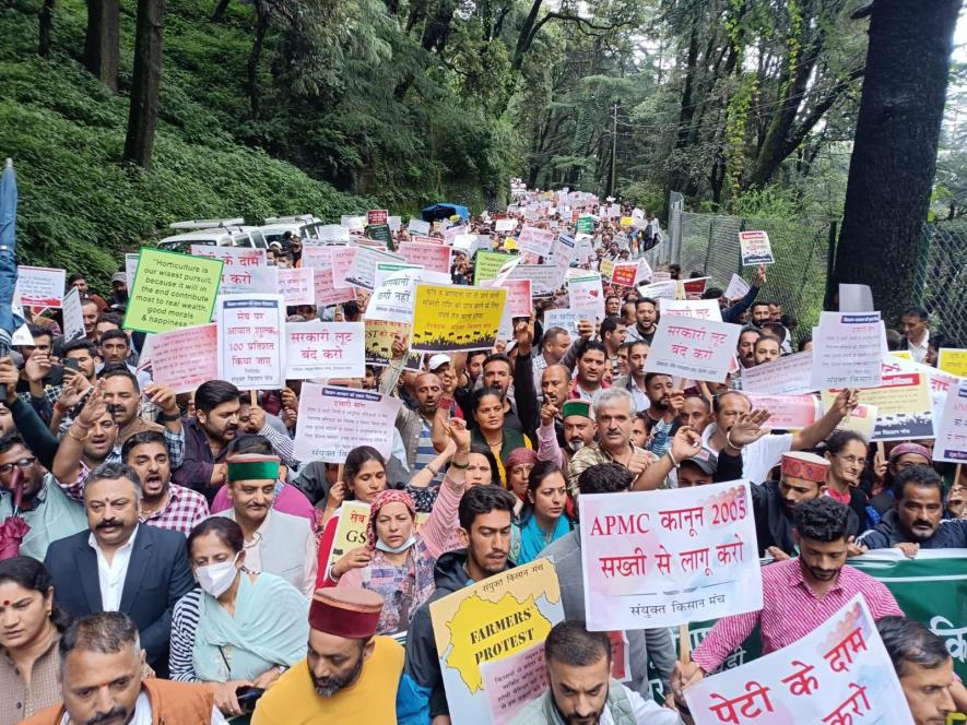 Apple producers march to the civil secretariat in Shimla