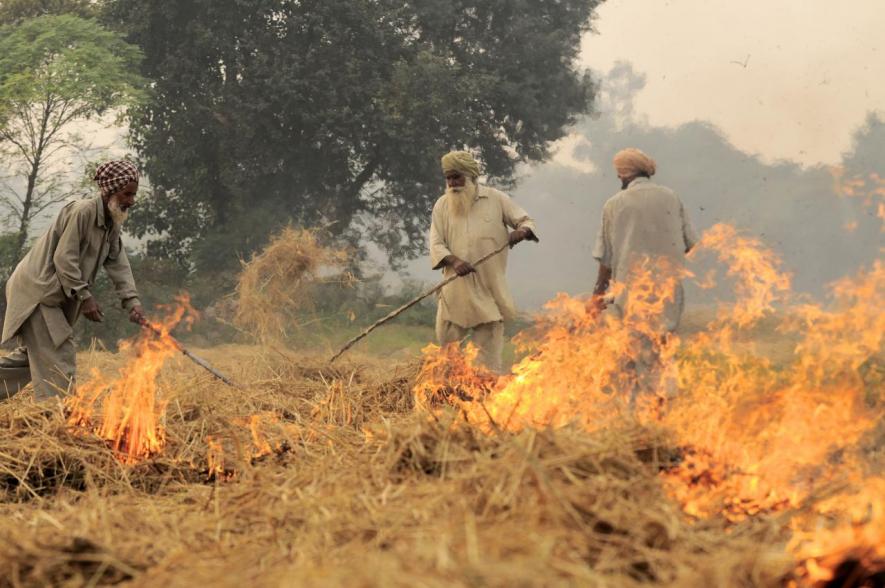 It Will Take 4-5 Years to Properly Resolve Stubble Burning Issue: Punjab Pollution Control Body