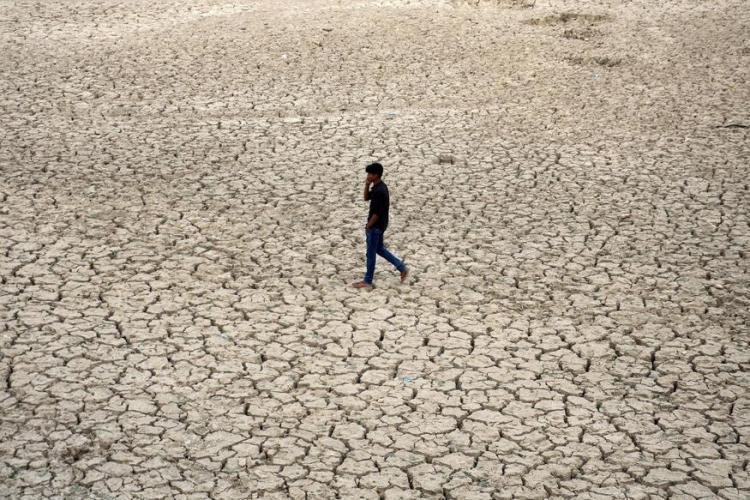 Bihar: 7,841 Villages Declared Drought-hit, Affected Farmers to get Financial Assistance