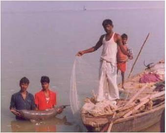 _Fishermen_with_rescued_dolphin_and_monofilament_gill_net