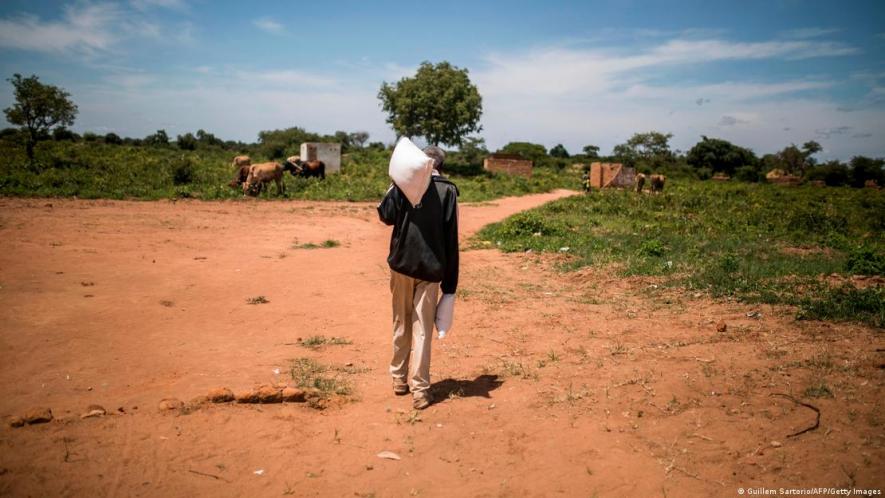 Extreme weather has left many Zambians with food insecurity