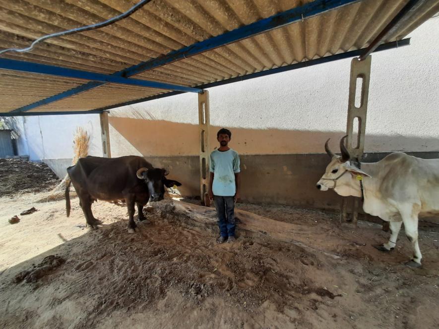 Ramesh inside his stable