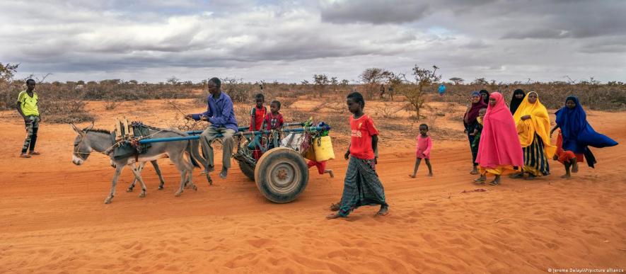 Somalia's food crisis claims young lives