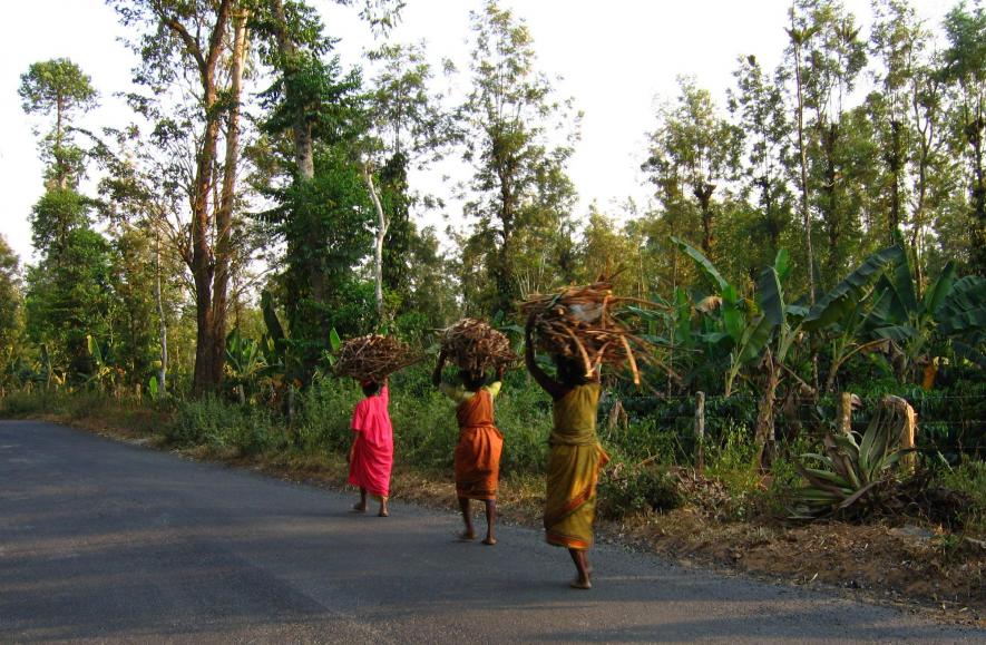 First Draft Bill for Geo-Heritage Conservation Ignores Adivasi Rights
