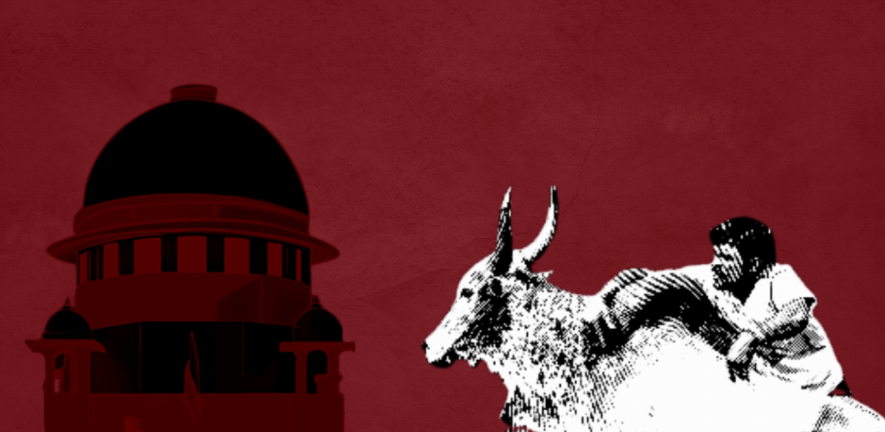 Supreme Court reserves judgment on Jallikattu: What has happened so far?