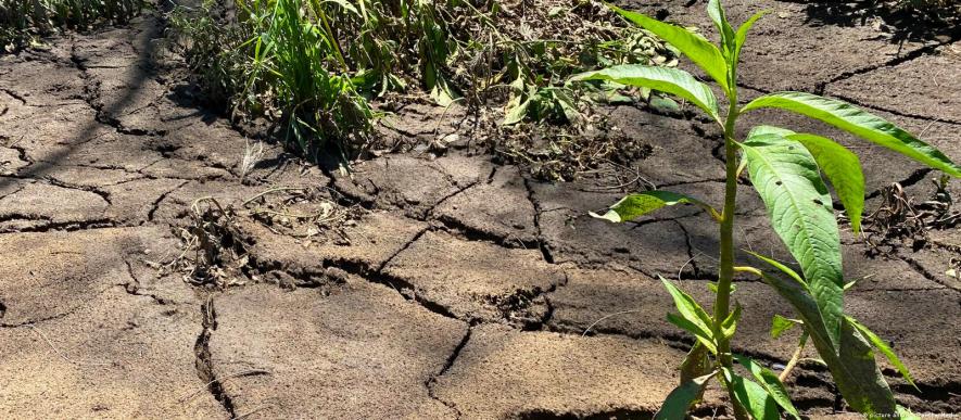 How to protect soil from future drought and heat waves