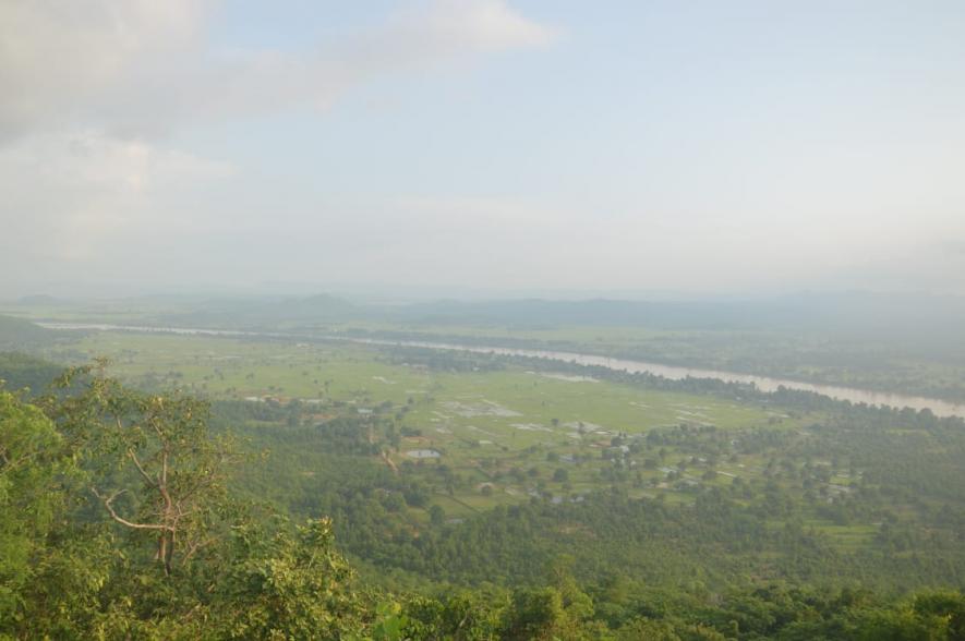 Odisha Government Ignores Forest Department Report to Hand Over Biodiversity-Rich Land to Private Firm