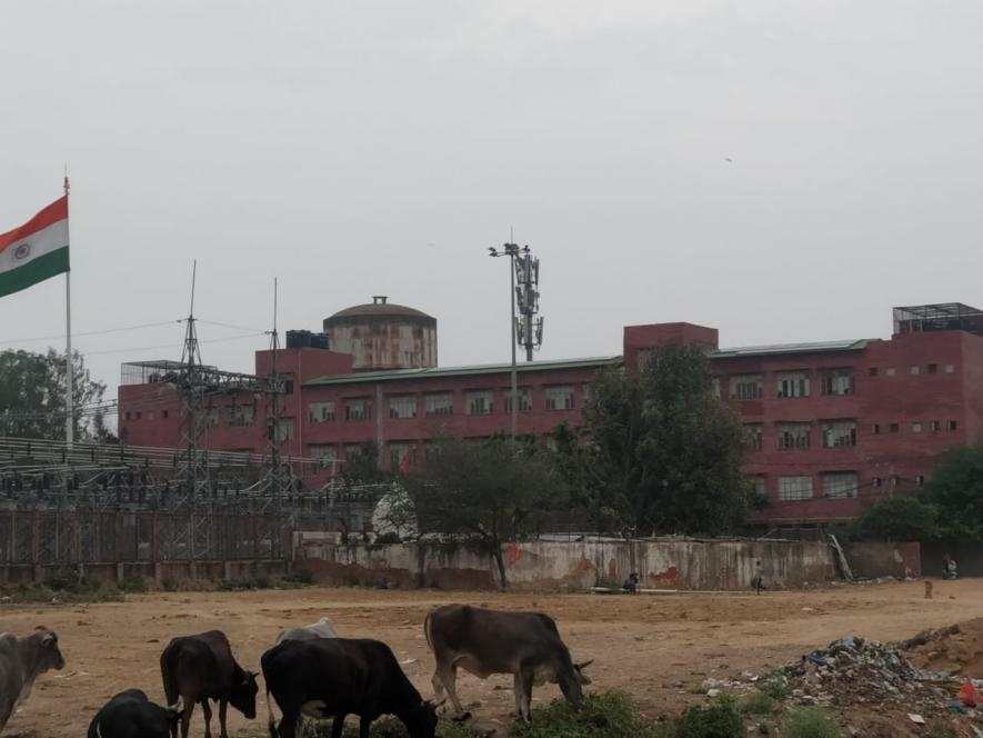 With no sign of water, Illegal buildings seem to have been constructed, and the place is now a home to stray animals