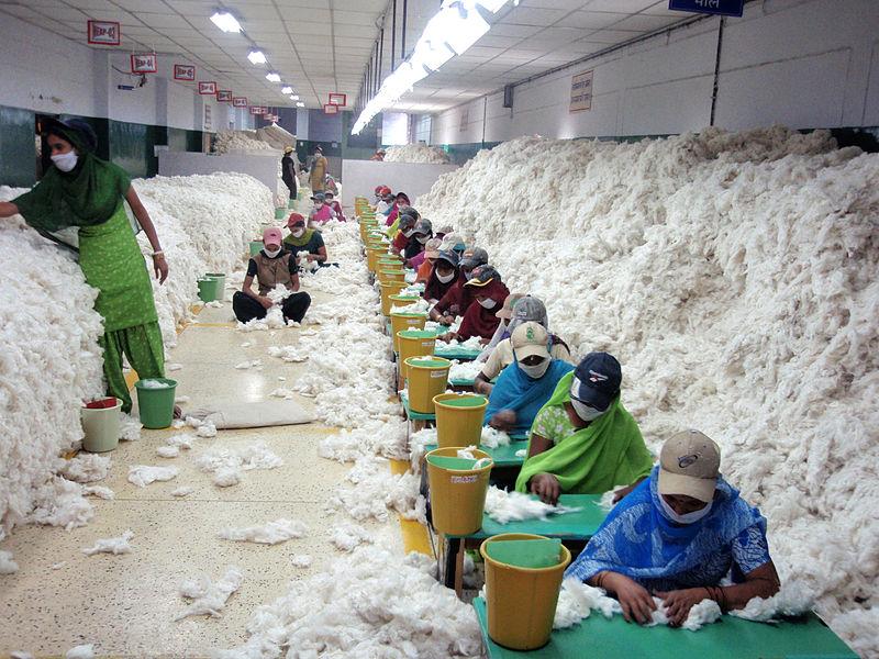 UP: Future of Amroha’s Famous Cotton Waste Industry Hangs by a Thread