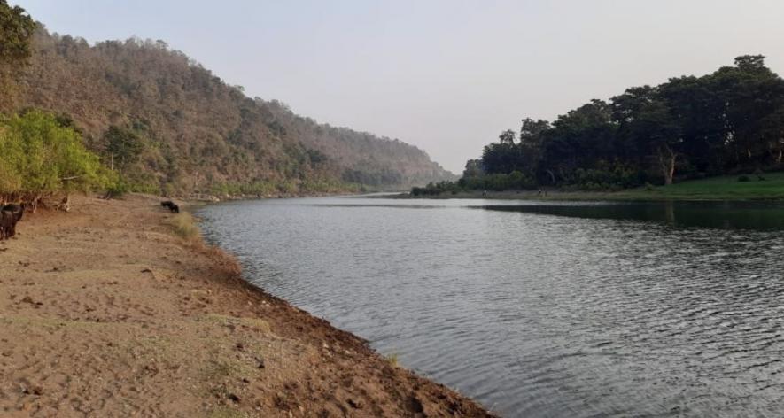 The proposed hydropower project could possibly submerge 2,437 hectares of land, including 2,107 hectares of forest (Photo - Pooja Yadav, 101Reporters).