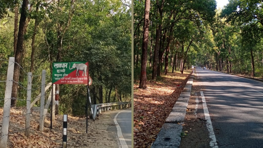 Elephant corridor in Uttrakhand