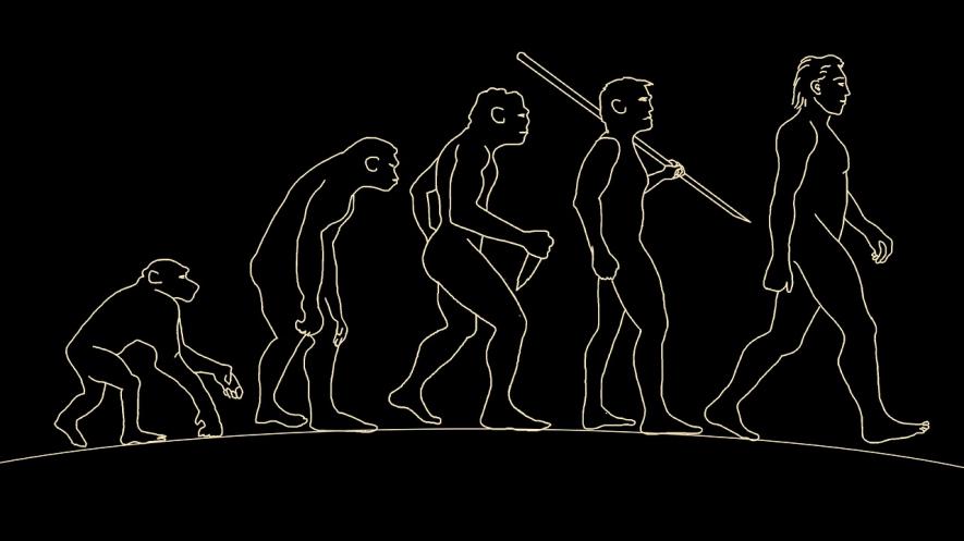 We Are Living Through a Paradigm Shift in Our Understanding of Human Evolution