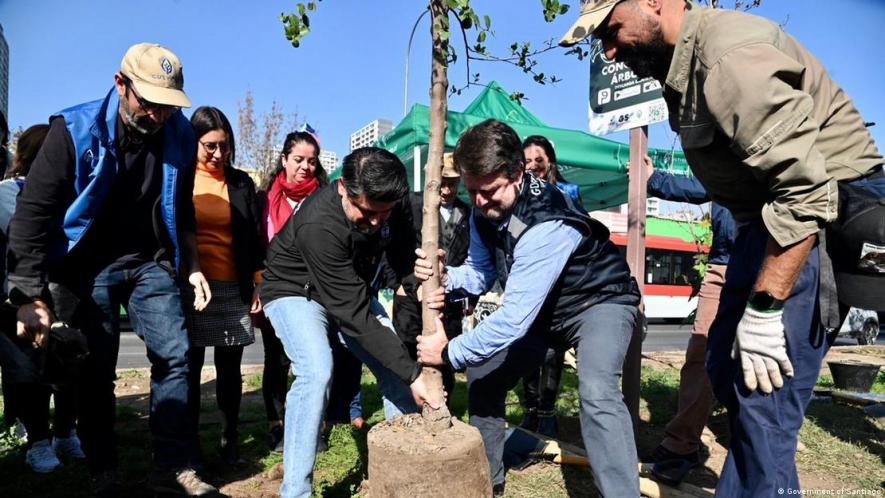 Santiago is planting 30,000 trees across the city and plans to establish 'pocket forests' to act as cooling centers