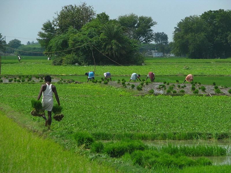 TN: ‘Repeal Land Consolidation Act’ Urges AIKS, Farmers Worried About Losing Land