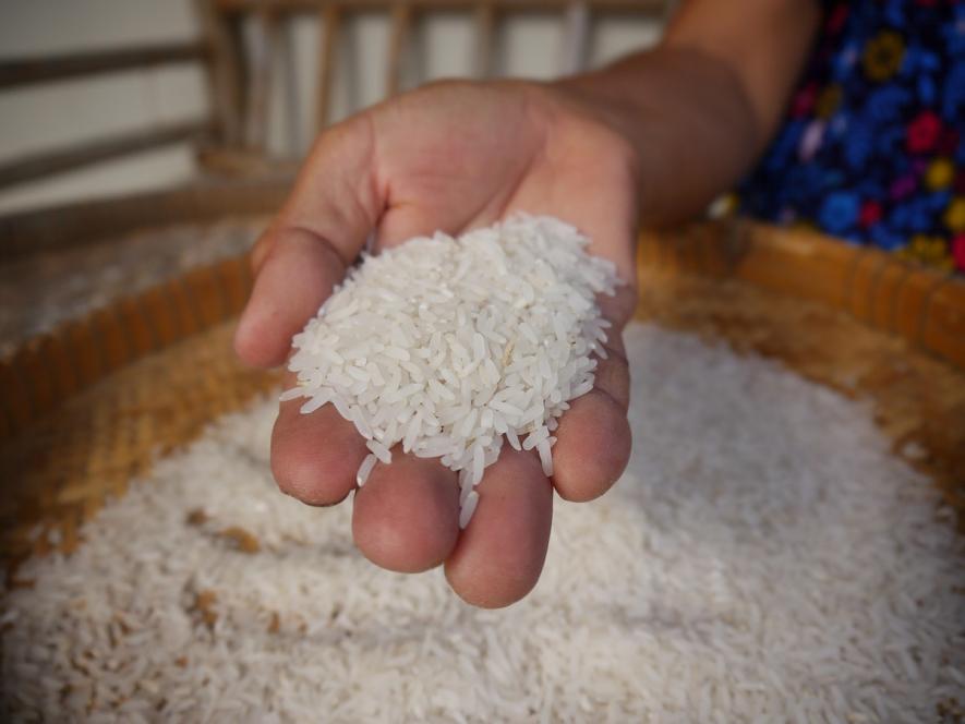 Staple Food Rice Becomes Privilege in Naya Kashmir