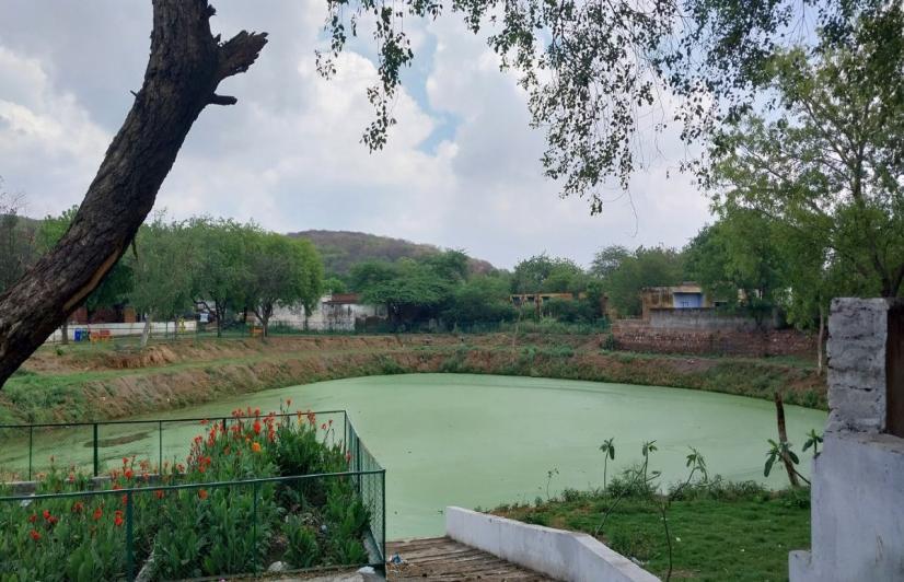 A view of pond in Hariahera village, Sohna Block, Gurugram (Photo - Deepanwita Gita Niyogi, 101Reporters).