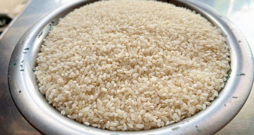 Muskhk Budji rice plate (Photo - Khalid Gul, 101Reporters).