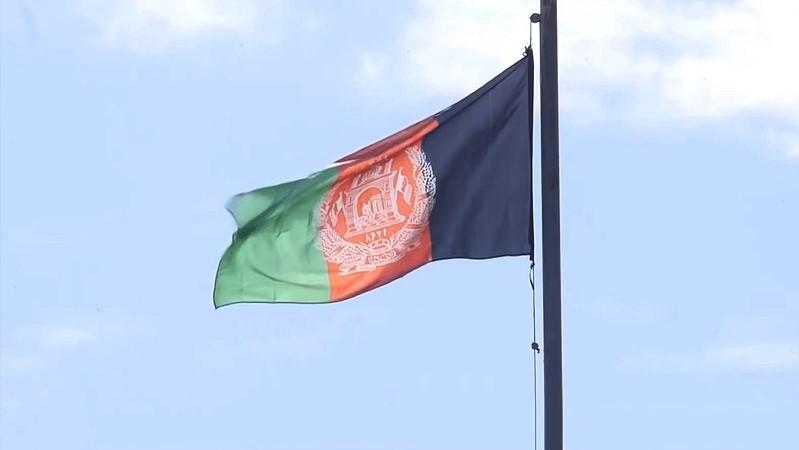 Afghan Taliban Shelters Terror Outfits