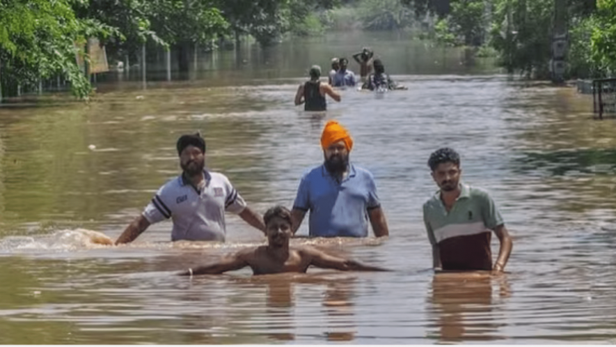 A flooded locality in Patiala, Punjab. (PTI Photo)