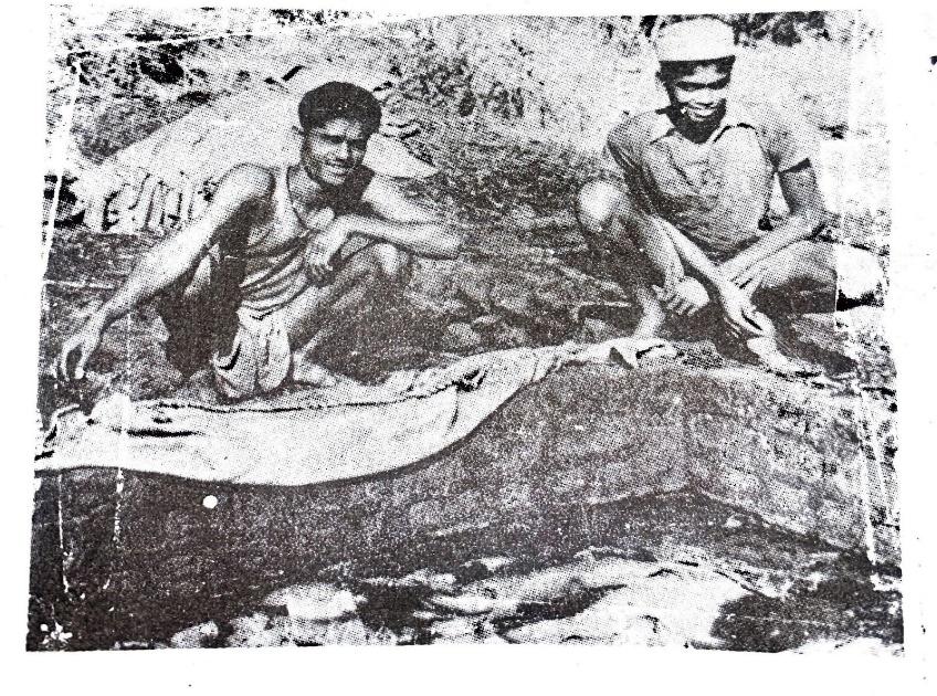 Tanners soak buffalo hides in lime pits for tanning. Source: The culture and civilisation of ancient India in historical outline.