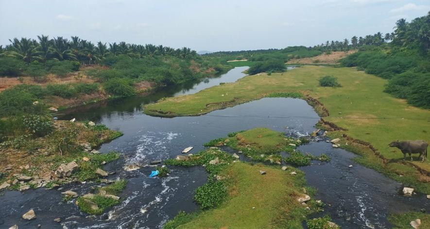 River Noyyal, polluted by knitwear dyeing effluents, passing through Uthukuli region (Photo - Vignesh A, 101Reporters).