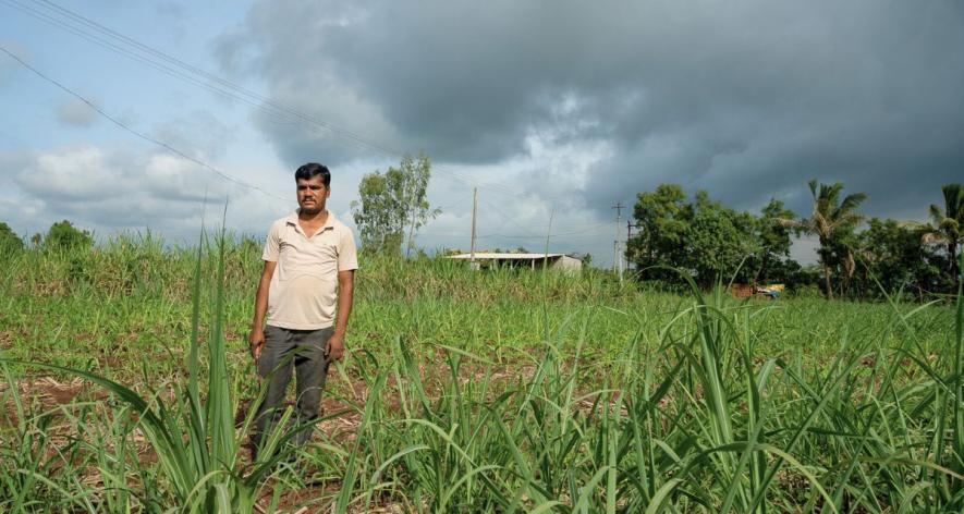 Nivrutti Koli, age 34 stands in his field and states that he has less land holding and requires less water to irrigate his entire field (Photo - Abhijeet Gurjar, 101Reporters).