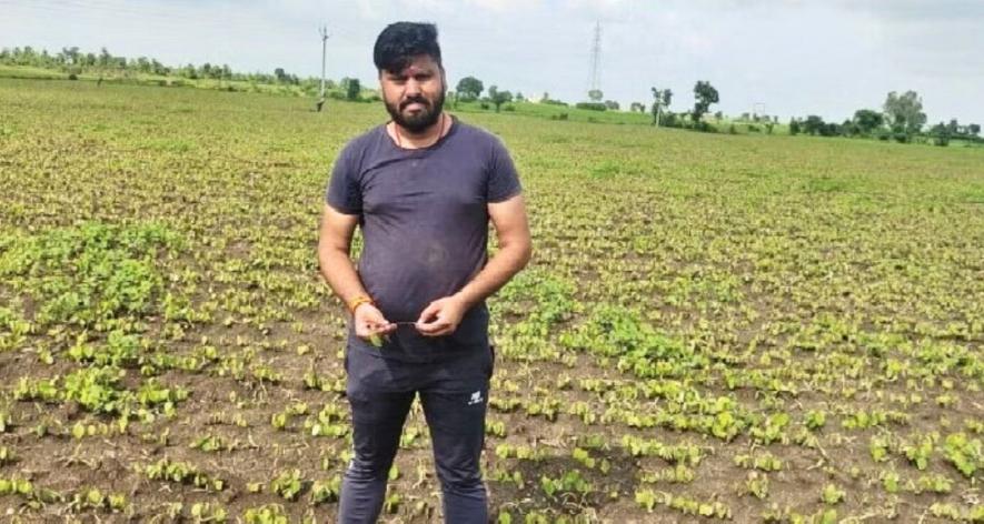 Abhishek Pachauri, resident of Gram Bazaar village, said that soybean crop was sown in about 18 acres.jpg