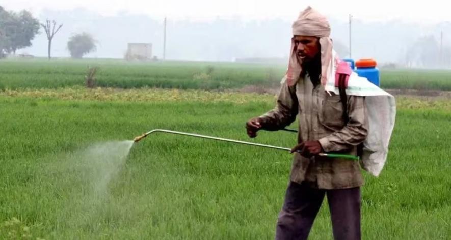 Ram Gurjar spraying pesticide in the field (Photo - Sanavver Shafi, 101Reporters).