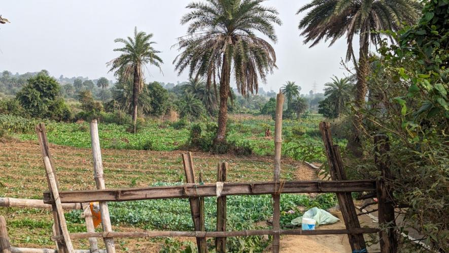 A glance over the fence of Mr. Basudev shows the water pipe.