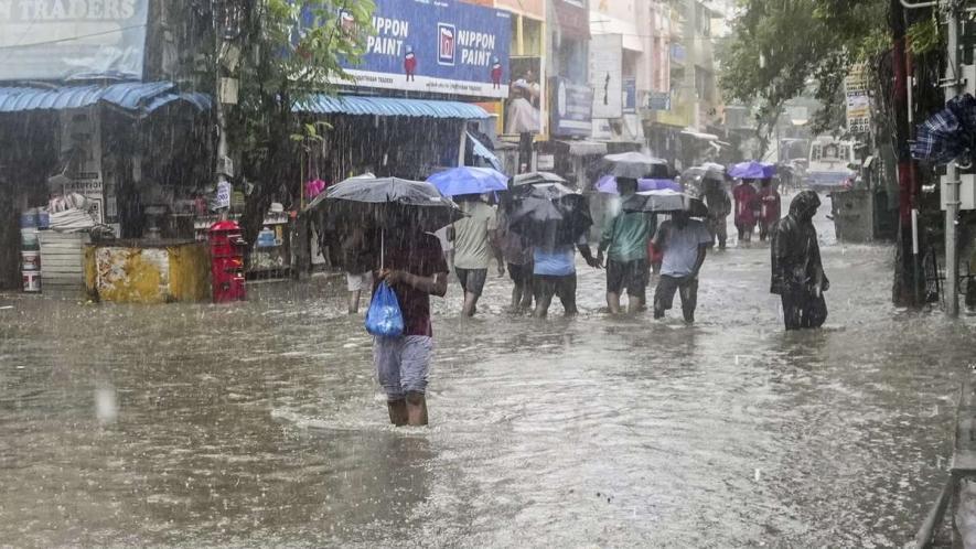  Cyclone Michaung