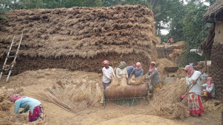 Bengal: Paddy Farmers Being Forced to ‘Surrender’ to Middlemen in Bankura District