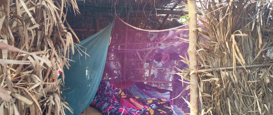 Makeshift shelter for date palm makers at Manbazar, purulia