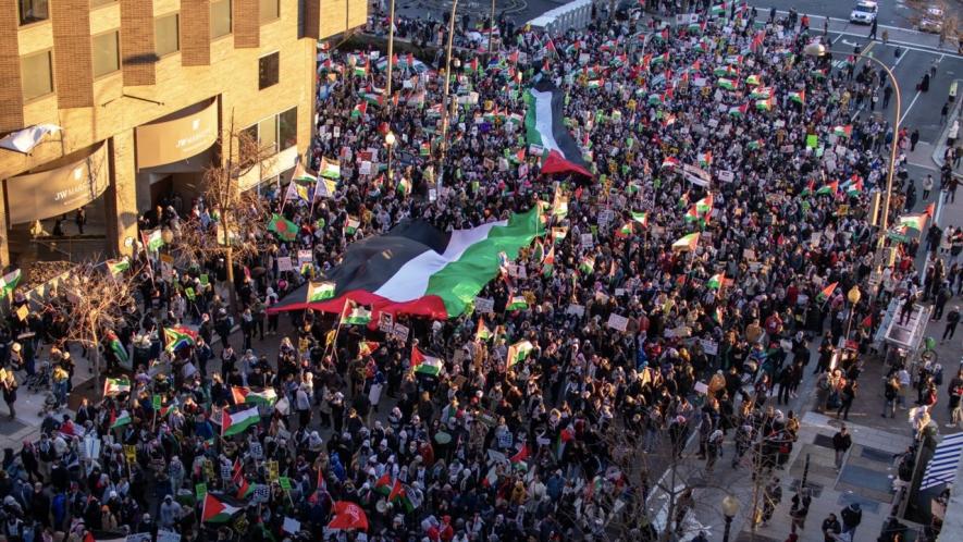 Over 400,000 people marched in Washington DC on January 13, 2024 to demand an immediate ceasefire in Gaza. Photo: Adrian Antonioli