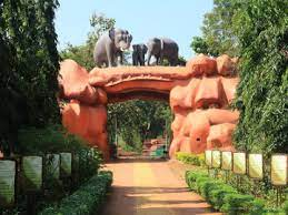 World Wildlife Day, Chandaka Sanctuary, Odisha Elephant Reserves, Odisha Elephant Population, Elephant Reserves, Elephant Corridors