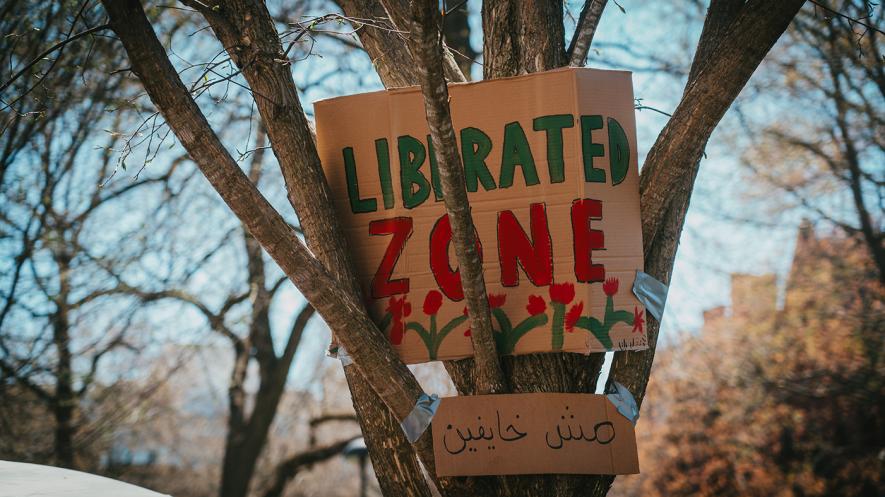 Students set up a Gaza Solidarity Encampment on Harvard Yard (Photo: Micah Fong)